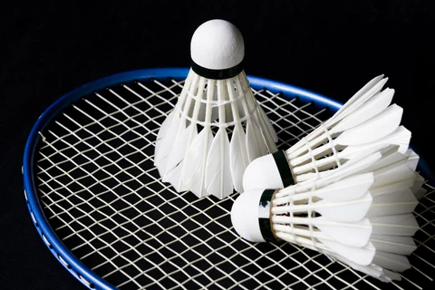 2. How to Choose the Right Shuttlecock?
Badminton Equipment