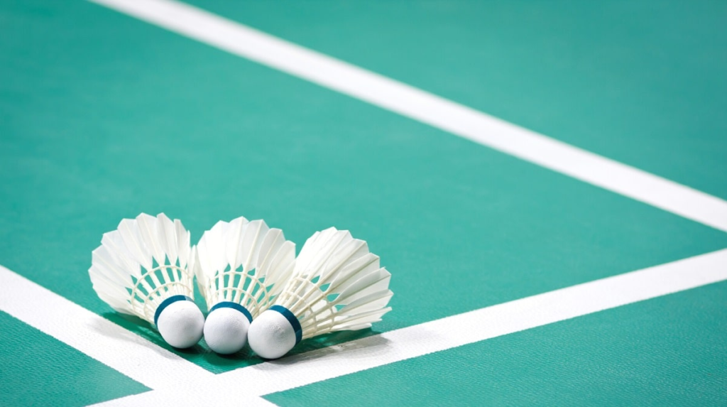 So, which shuttle is used in international badminton matches? We'll tell you its history, construction, and importance in badminton.